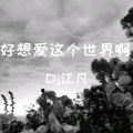DJ江凡 - 就是爱到深处才怨他 (DJ版)