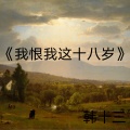 韩十三 - 我恨我这十八岁
