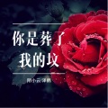 陌小云、落雨辰 - 你是葬了我的坟