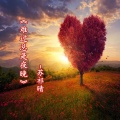 苏祁晴 - 难过总是夜晚