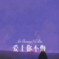 会说话的刘二豆 - 爱上你不悔 (Remix)
