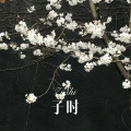 菠菜弟 - 无关宇宙 (Remix)