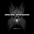 Serge Wax、David Banaro - Groovy Thing (OriginalMix)