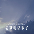 元宋 - 老婆电话来了
