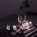 寄烧鸡 - 红色石头