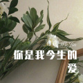 疯狂小杨哥 - 猪有多胖我多胖