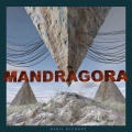 TRUETRUE、小黑mk - Mandragora (小黑mk Remix)