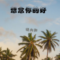 胡向阳 - 想念你的好 (Remix)