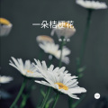 韩冷颜 - 一朵桔梗花
