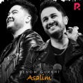 Benom Guruhi - Asalim