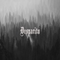 DjSunnyMega - Despacito