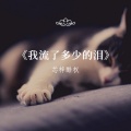 芯梓酷权 - 我流了多少泪