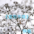 快板 - 爱而不得