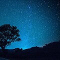 独立音乐人陶子 - 星