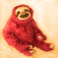 Sleepy Sloth - lonely nights