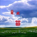 颜王词泽 - 火苗