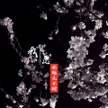 苏寻 - 我愿你桃花不断