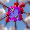 筱震 - 唢呐