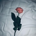 Jeffery - Don't play