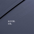 云殇 - 来日可期