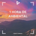 1 Hora De Ambiental