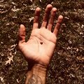Zae - Gold (Explicit)