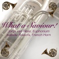 Isabelle Roelofs、John Pattison - Euphonium Solo: What a Saviour!
