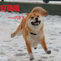 六少飞 - BOB (Duy mix)