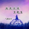 东少吖 - 温柔可爱王新玉 (伴奏)