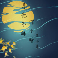 苏小晨 - 月亮不睡你不睡