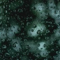 36 Sounds of Spring and Winter: Rain & Nature Special
