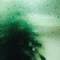Glasshouse、Anja - Lost Causes