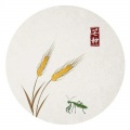 苍梧谣 - 芒种