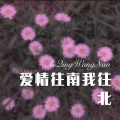 七舅脑爷 - 爱上离婚的女人 (Remix)