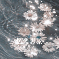 风轻云 - 我爱错了你