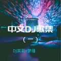 夜空中最亮的星 (DJ新版)