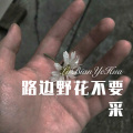 元宋 - 忘不了你的温柔