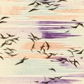tane、Telemakus、Blue Wednesday - Bird Blues