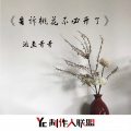 池鱼哥哥 - 告诉桃花不必开了