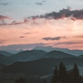 Music For Cats、Calm Music for Cats、Music for Cats TA - Seismic Calm