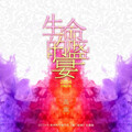 高旗、高旗&超载 - 生命的盛宴