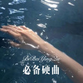 音乐神 - 羊肚子手巾三道道蓝 (Remix)