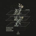 Man Machine、Imaginarium、Shivatree - Our Dna