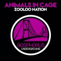 Zooloo Nation