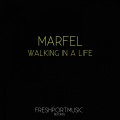 Walking in a Life