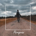 Impulse - Peregrino