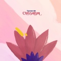 Toonorth - Chrysalism (OriginalMix)