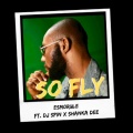 DJ Spin、Esmorule、Shanka Dee - So Fly (Explicit)(feat. Dj Spin & Shanka Dee版)