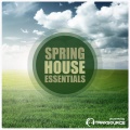 Spring House Essentials