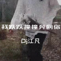 嘛听苦情歌以为多浪漫 (DJ版)